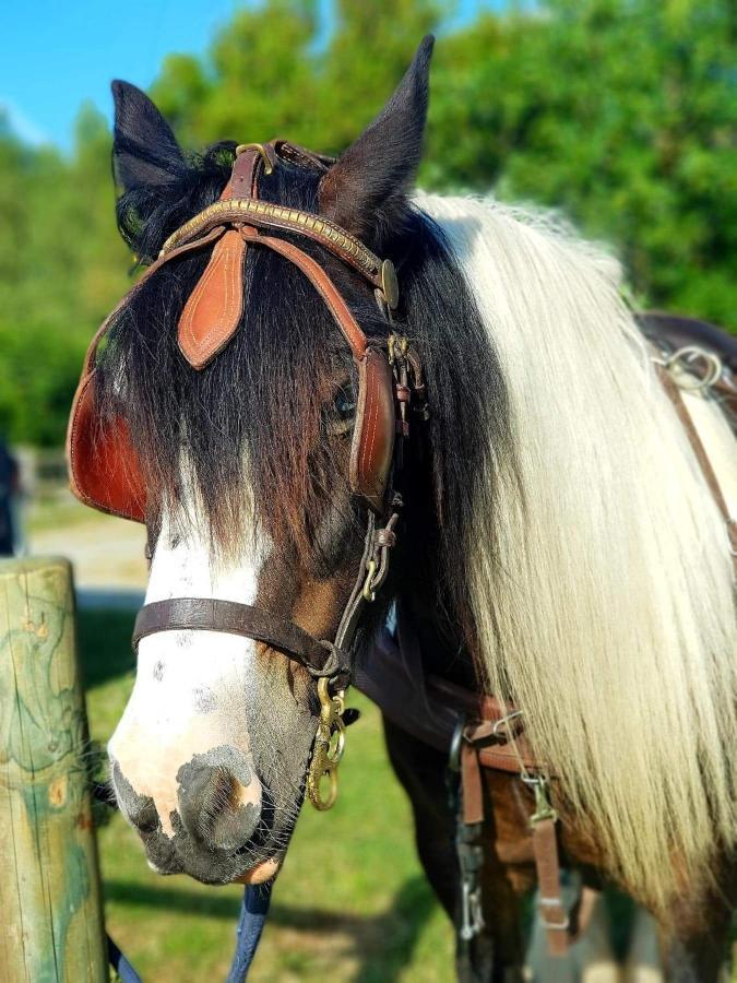 Les Chevaux De L'Hippocampe Mont-Dol Exterior foto
