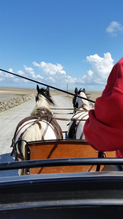 Les Chevaux De L'Hippocampe Mont-Dol Exterior foto