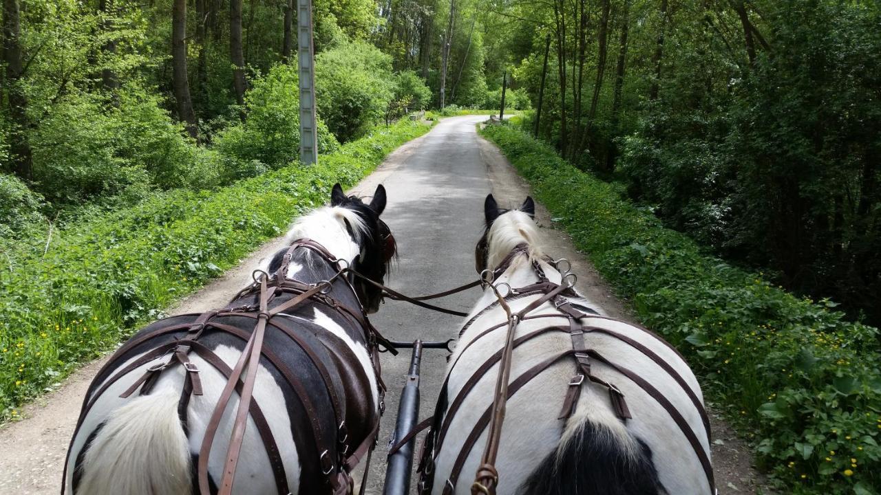 Les Chevaux De L'Hippocampe Mont-Dol Exterior foto